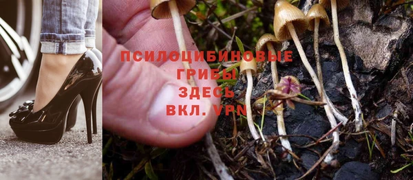 дурь Балахна
