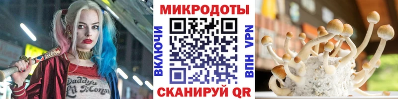 хочу   Торжок  Псилоцибиновые грибы Psilocybine cubensis 