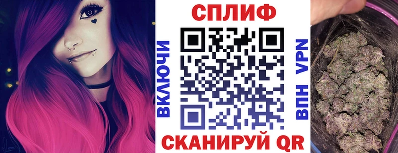Бошки Шишки план Торжок